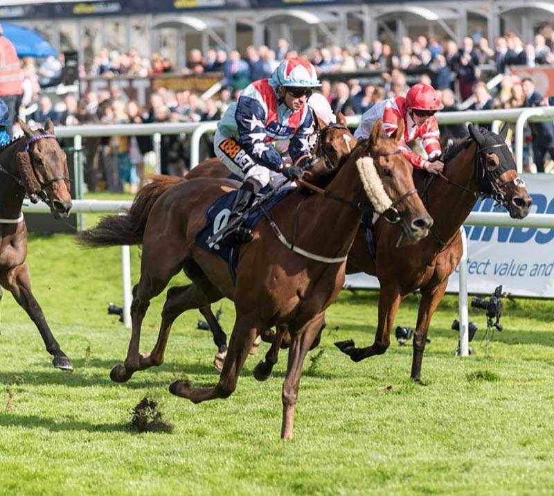 Horses racing at Doncaster Racecourse