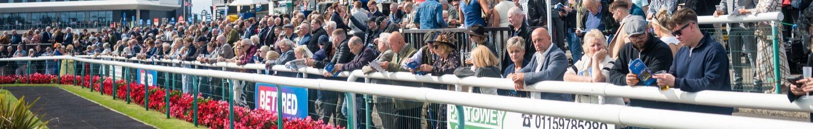 Racegoers by the side of the parade ring
