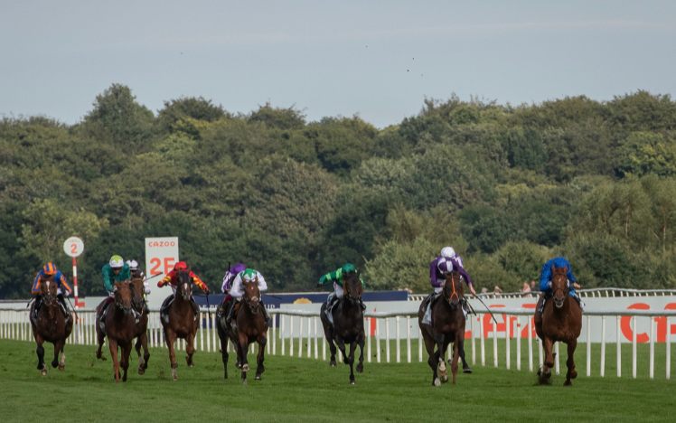 St Leger, horse racing 