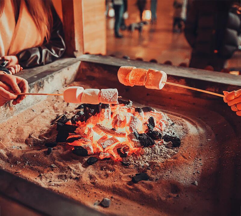 People roasting marshmallows on a fire 