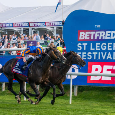 Betfred St Leger 2025 winner Scandinavia at the finish line