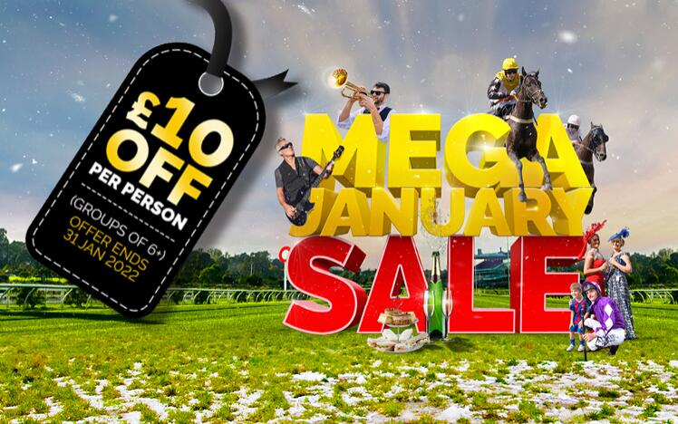 Mega January Sale