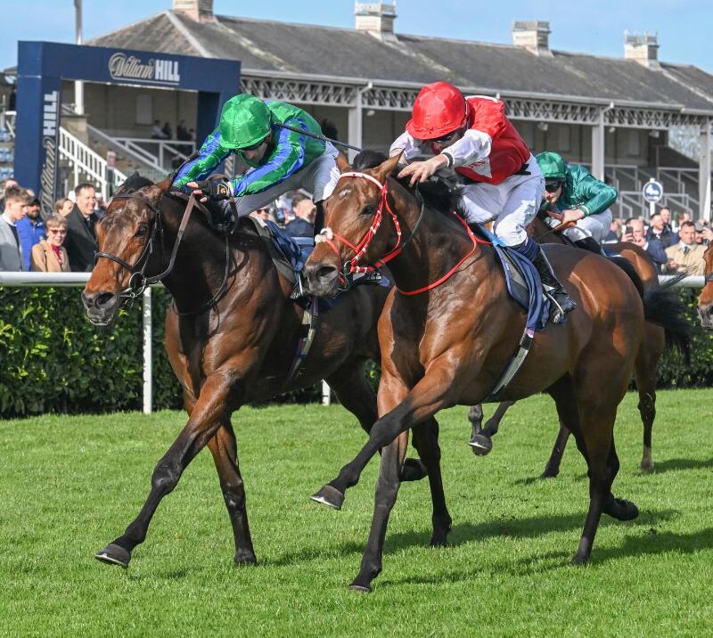 Urban Lion winning the William Hill Lincoln Handicap 2026