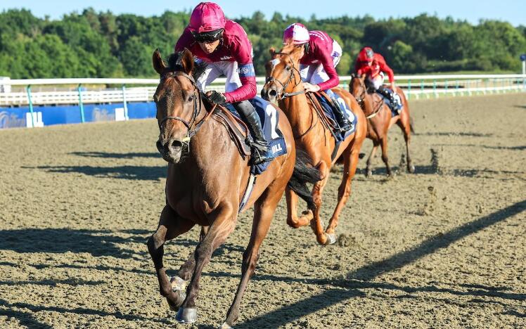 Immortal Beauty leads home a one-two for London & The South (credit: Grossick Racing Photography)