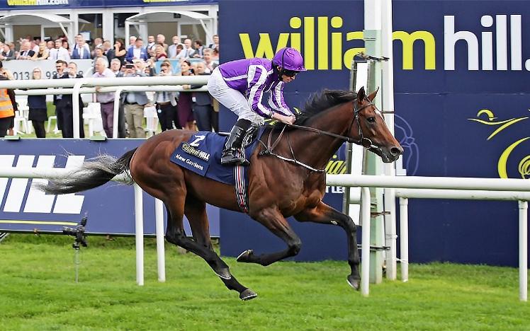 Kew Gardens  with trainer Aidan O’Brien 