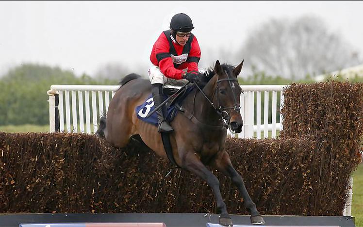 A jockey jumps over a hedge on his horse