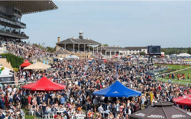 A large crowd watches over the racecourse