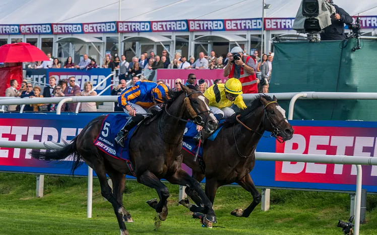 Scandanavia at approaching finishing line at 2025 St Leger