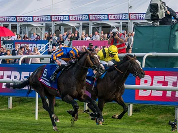 Scandanavia at approaching finishing line at 2025 St Leger