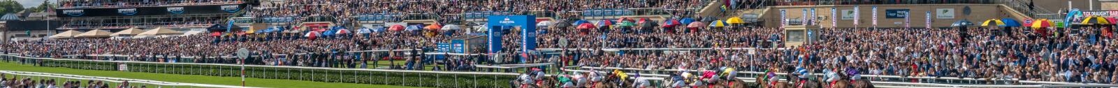 St Leger Day 2025 crowd