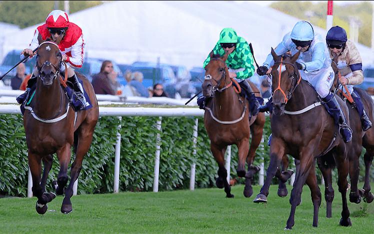 Jockeys race their horses to the finish