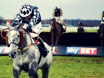 A jockey races his horse to the finish