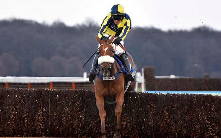 A jockey holds on to his horse as it jumps over a hedge mid race