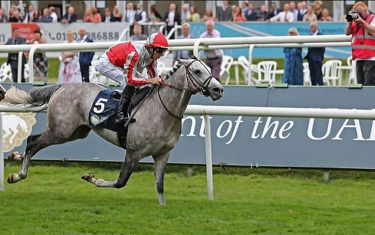 A jockey races his horse down the track.