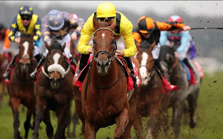 Horses race towards the camera