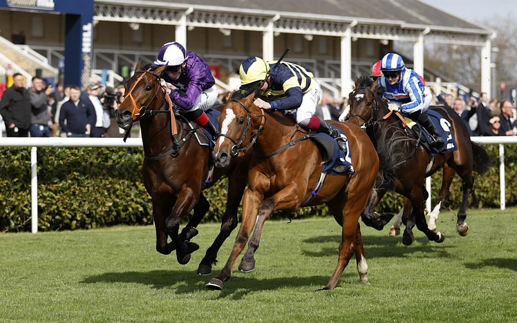 William Hill Brocklesby Stakes