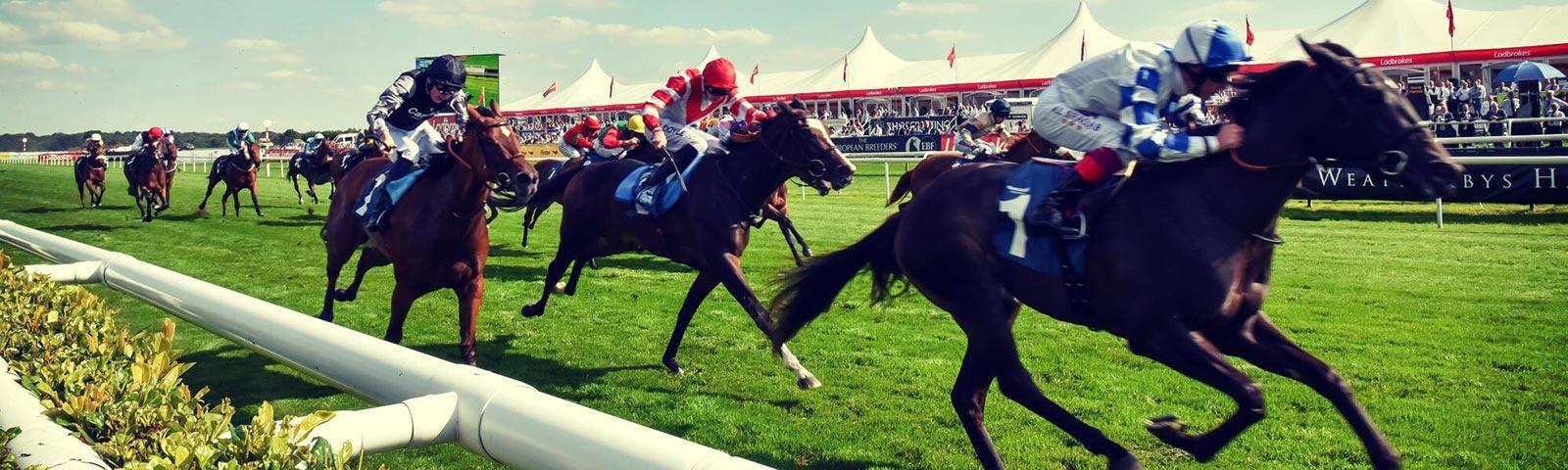 Restaurants Open On Christmas Day 2022 Dillon Co Packages Venue Hire Yorkshire Doncaster Racecourse Restaurants Open On Christmas Day 2022 Dillon Co Packages Venue Hire Yorkshire Doncaster Racecourse