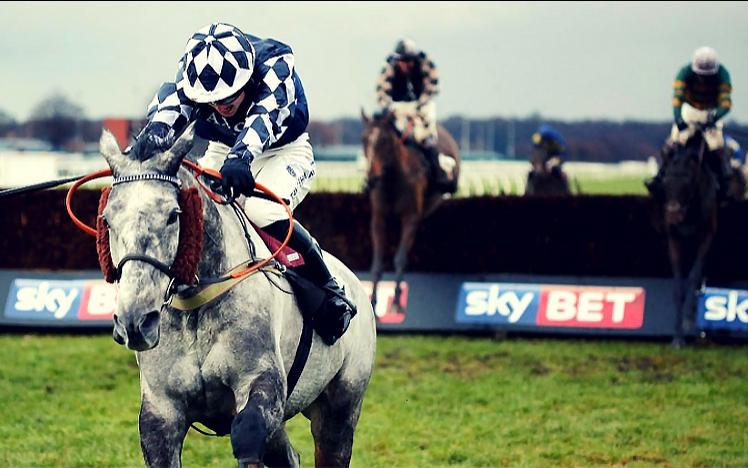 A jockey races his horse to the finish