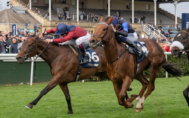 Godwinson wins Lincoln Handicap 2025