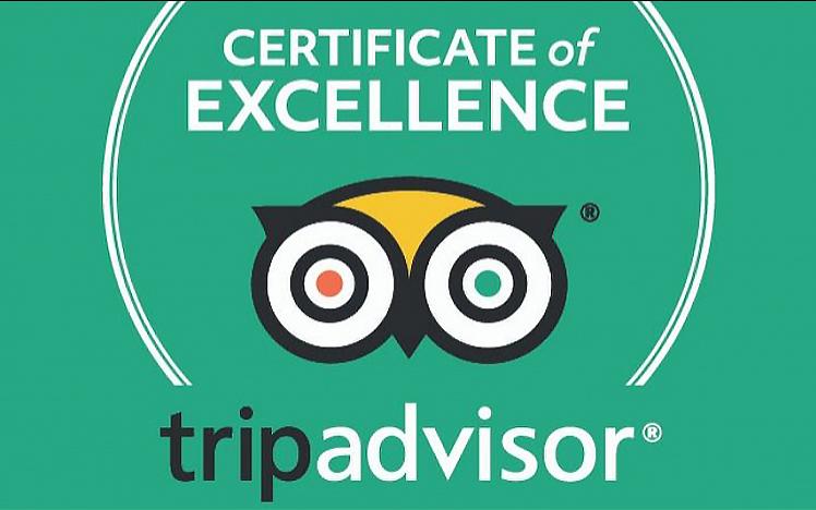 Trip Advisor Certificate of Excellence Poster