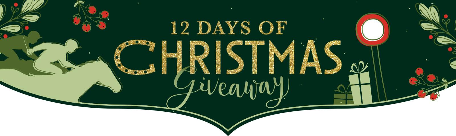 12 Days of Christmas Giveaway