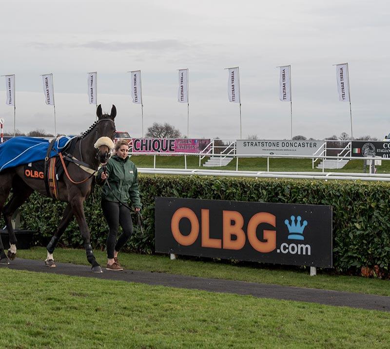 Horse being led through parade ring by a table staff.