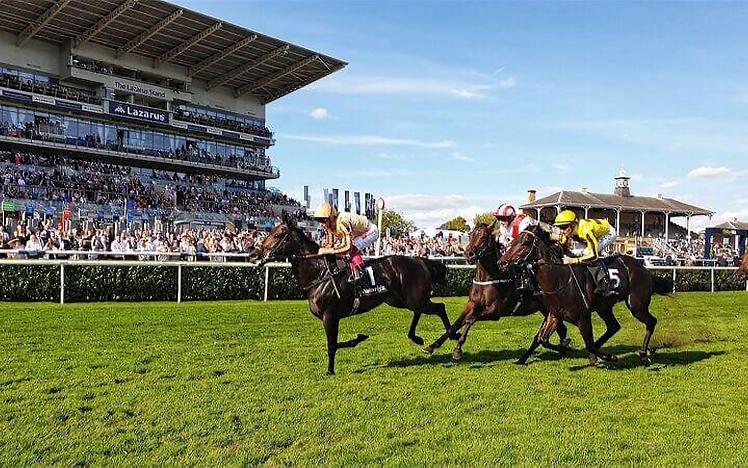 Three horses race to the finishing line.