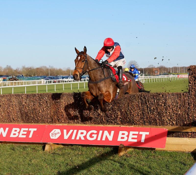 Winner of the 2026 Great Yorkshire Chase Dartmoor Pirate, ridden by Rex Dingle 