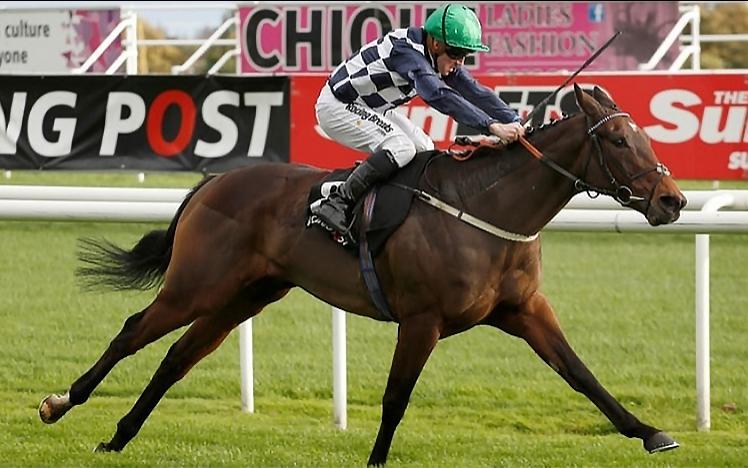 Jockey races his horse down the track