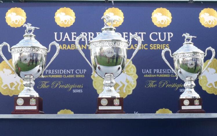 UAE President Cup